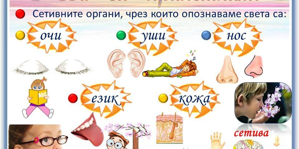 slide_3